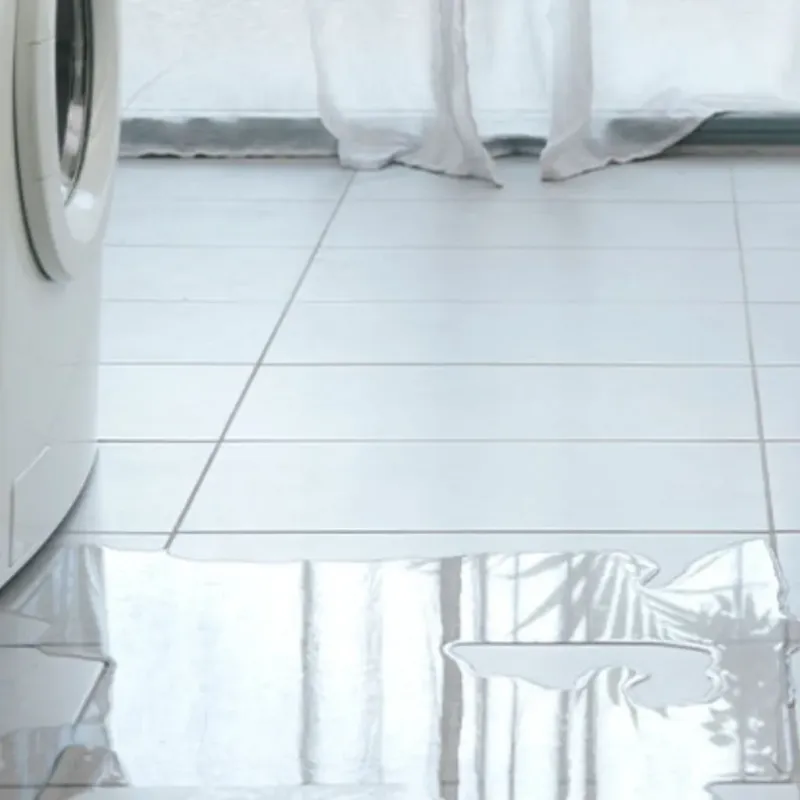 Appliance Leak Cleanup in Olney, IL