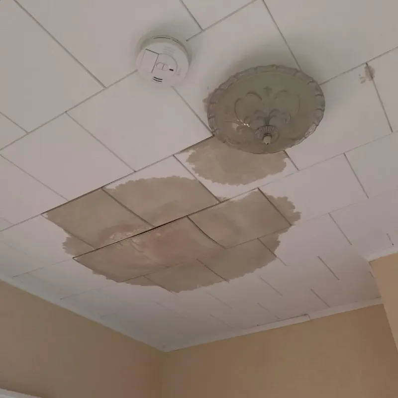 Ceiling Water Damage Repair in Olney, IL