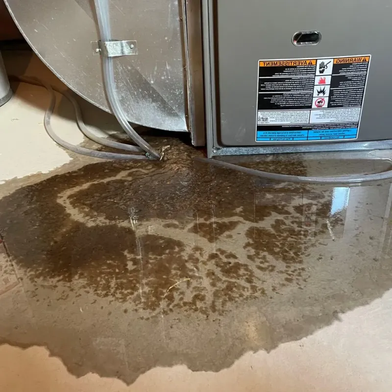 Pipe Burst and Leak Restoration in Olney, IL