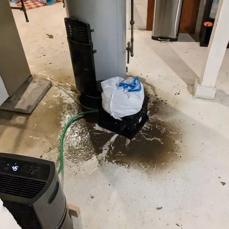 Sewage Backup Cleanup Service in Olney, IL